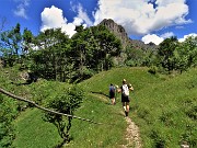 62 Sul sent. 519 ai roccoli del Passo Barbata